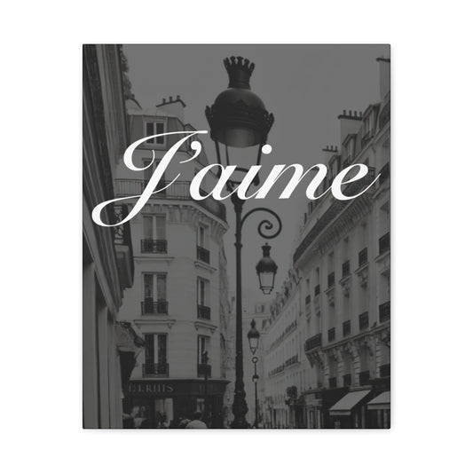 A Night in Paris J'aime Wall Art